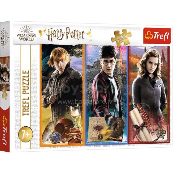 TREFL 13277 Puzzle 200 Le akunyawɔwɔ kple afakaka ƒe xexeame