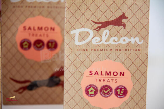 SALMON ƒe nuɖuɖu viviwo