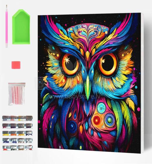 Splat Ɣletinyigba diamond puzzle OWL 30x40 cm