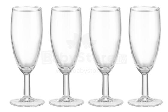 Maku Champagne kplu 16 cl 4 pcs