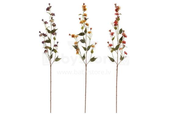 4Agbe Hieracium ɖeka ƒomevi