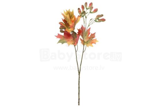 4Maple gbagbe ɖeka 75 cm