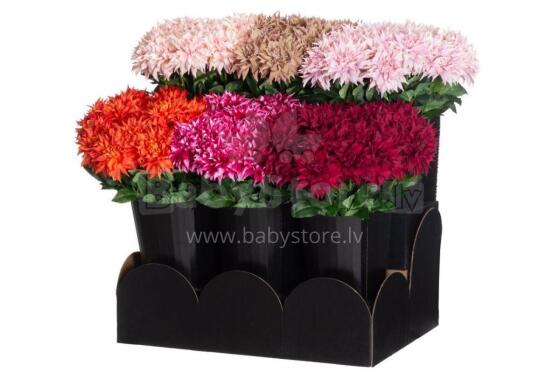 4Living Dahlia 58 cm assortment display