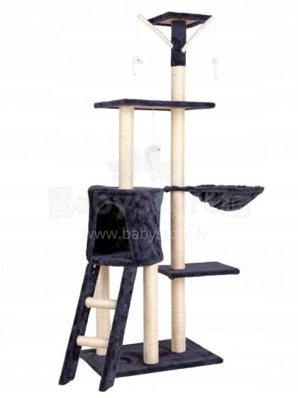 Kassi kraapimispuu maja ja voodi 138 cm XL Hall Petsi