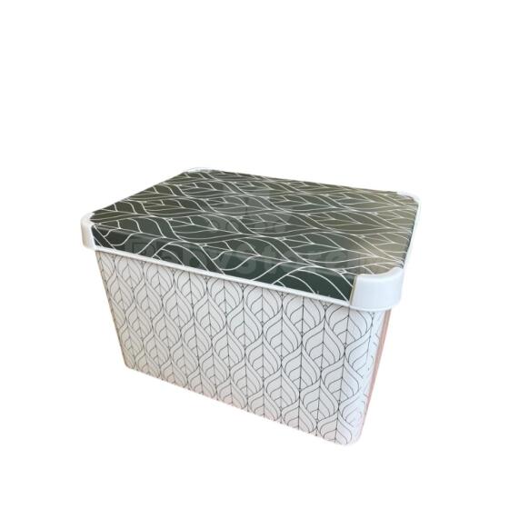 Karp kaanega Deco Stockholm L 39.5x29.5x23.5cm Rohelised Lehed