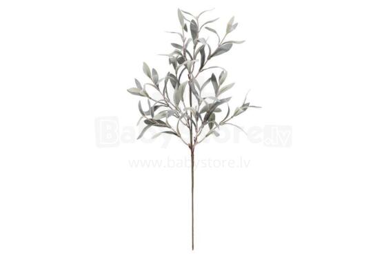 4Living Oliivi vars 60 cm