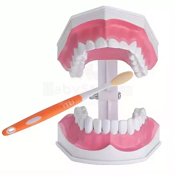 Doctor Set Smile Dentist Teeth Art.260085 Noore/vapra hambaarsti komplekt - superkangelase naeratus