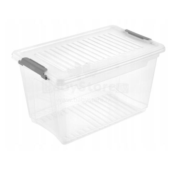 Box with lid clipbox Leonie 28.5x18.5x16cm 5.4L transparent