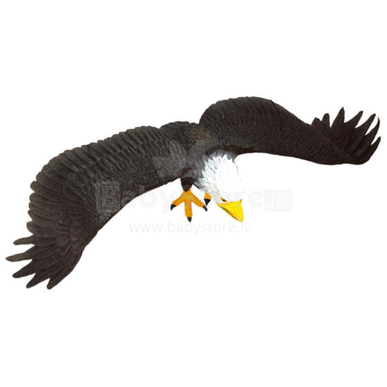 Rep Pals, Eagle