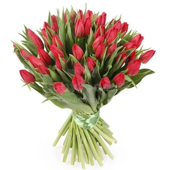 La Petit Fluer Art. LPT-TR51 Fresh Red tulips 51 psc