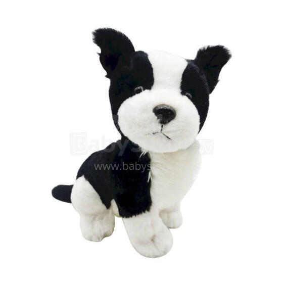 Pehme mänguasi - 84399 / 43991 - KUTSIKAS - MUST / VALGE - suurus 25 cm