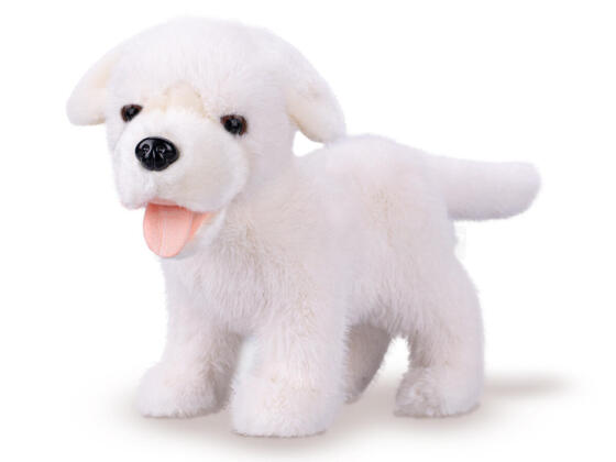 Pehme mänguasi - 04569 - KOER - LABRADOR - VALGE - suurus 23 cm