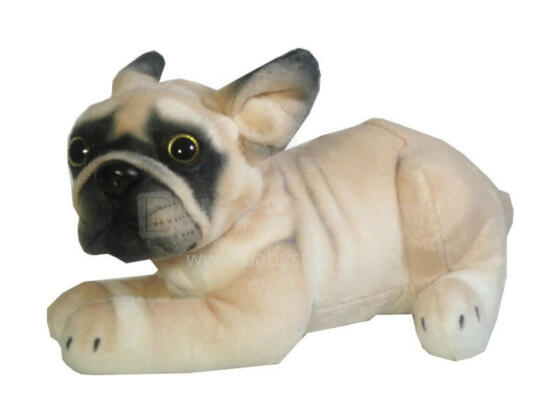 Plush toy - 03888 - BULDOG - size 26 cm