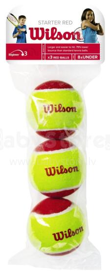 WILSONI ALGUSKORVPALLID (3 tk)