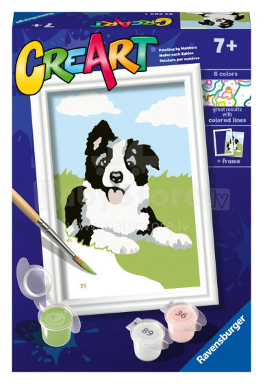 Ravensburger Värvi numbrite järgi Border Collie