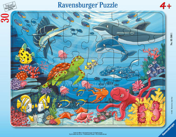 Ravensburger Frame Puzzle 30 tk Allvees