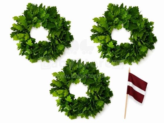 Bebe Basic Made in Latvia Art.296912 Tammelehtedest pärg, lipsudega, Ø25 cm.