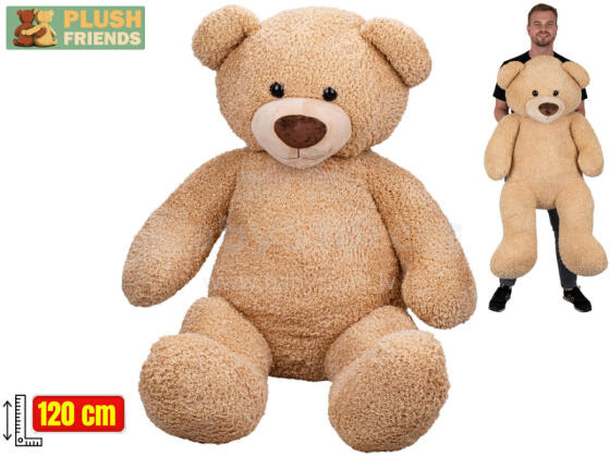 Plush toy - 903029 - TEADY BEAR - size 120 cm