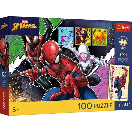 BOHATERSKI PAJĄK SPIDERMAN PREMIUM *100*