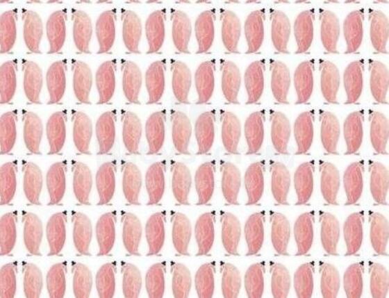 La Millou Art. 83929 Bamboo Wrap Me Up Blanket Penguin Pepe