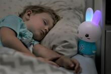 Alilo Art.G6 Purple LV – Interactive Musical Developmental Toy for Children from 0+ with Latvian Voice