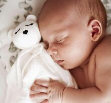 La Bebe™ Sleep Comforter Art.156856 Black Bunnies