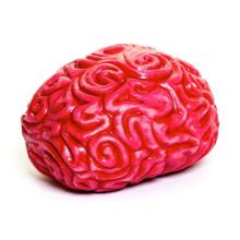 Keycraft Squidgy Brain Art.NV459 Stressivastane mänguasi