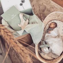 Ahojbaby Moses Art.16557  Wicker häll