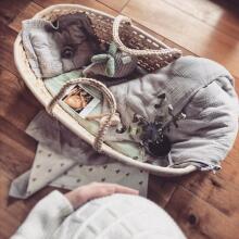 Ahojbaby Moses Art.16557  Wicker häll