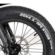 Elektriskais velosipēds APE RYDER 20 Bonobo zaļš