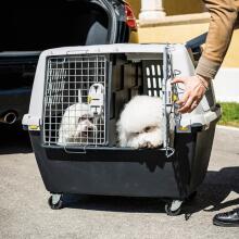 Inner divider panel for transport cage Gulliver Touring black