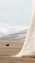 La bebe™ Merinos New Zeland  Art.213966 Merino wool blanket 65x90cm