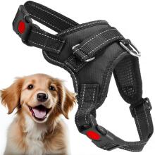 Reguleeritav koera rakmed Springos PA0305, suurus L, 36-55 kg, survevaba, must