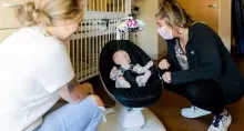 4moms MamaRoo 5.0 Infant Seat Art.227273 Sage Classic Black elektroonilised beebi kiiged