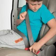 Bebe Basic  Panda Plus Art.16793 Grey Универсальное детское автокресло 126-150см ( 15-36 кг)