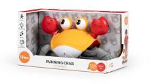Bo Crab Art.242526