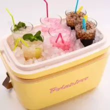 Polarbox Cool Box Retro Cooler Art.244395  Cyan – Baby Rose Camping Refrigerator 12L