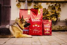 Nuɖuɖu na avu tsitsiwo REGULAR PLUS kple alẽvi / 3 kg