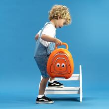 Hehenana ze si wotsɔna ɖe asi, Clownfish