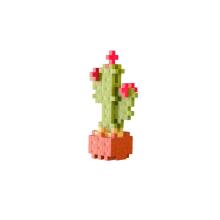 Plus Plus xɔtula NUMIEMIEWO - cactus