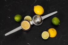 Maku Citrus press stainless steel 22 cm