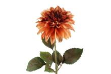 4Dahlia gbagbe seƒoƒo gã 74 cm assortment