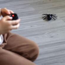 WOOPIE Spider Interactive Adzɔge Ʋĩ Dziɖuɖu