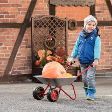 Children's garden wheelbarrow Rolly Toys Two-wheeled metal