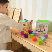 TOOKY TOY Деревянный сортировщик форм Цветной куб с цветными узорами 13 шт