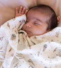 Aden Anais Muslin Swaddles Art.251321 Above The Clouds High quality bamboo muslin swaddle, 1 pc. (120x120 cm)