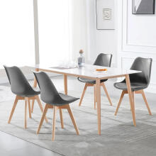 4 elutoa ja söögitoa toolide komplekt koos padjaga ökoliidiga ModernHome