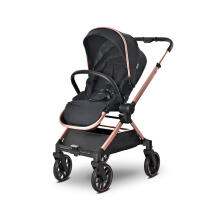 Lorelli Reya 2 in1 Art.10022072501 Black Jasper  Universaalne jalutuskäru 2 ühes