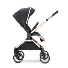 Lorelli Reya 2 in1 Art.10022072501 Black Jasper  Universaalne jalutuskäru 2 ühes
