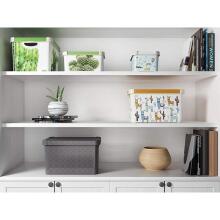 Karp kaanega Deco Stockholm S 29.5x19.5x13.5cm Rohelised Lehed
